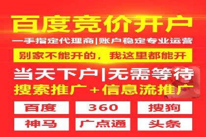 案例解析：如何通过推广竞价提升品牌知名度